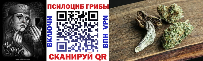 Псилоцибиновые грибы Magic Shrooms  купить закладку  Братск 