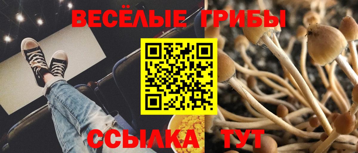 Братск  Псилоцибиновые грибы GOLDEN TEACHER  Вход с VPN 