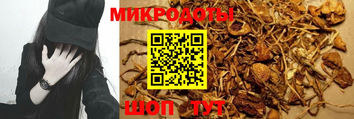Псилоцибиновые грибы прущие грибы Братск