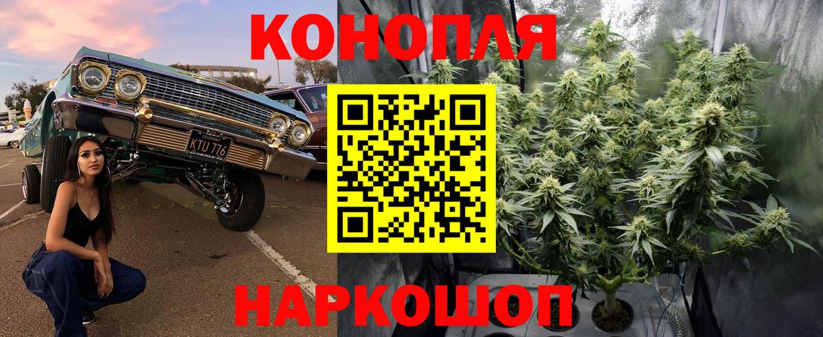 Каннабис индика Братск